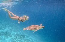 Private Snorkeling Gili Island Including GoPro Camera