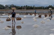 Kampot Pepper Farm, Salt Field, Secret Lake & Kep Tour With SUV