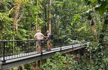 Private Luxury Half Day Daintree and Crocodile Cruise Tour