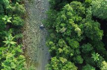 Private Luxury Half Day Daintree and Crocodile Cruise Tour