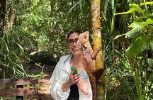 Private Luxury Half Day Daintree and Crocodile Cruise Tour