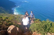 Cape peninsula with African peguin and Seals