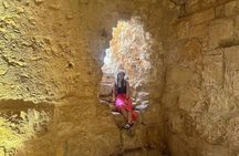 Amman Jerash and Ajloun Private Tour