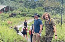 Sapa Half-Day Motorbike: Mountains, Rice Terraces & Villages