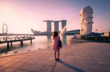 Singapore Half-Day City Sightseeing Guided Tour with Hotel Pickup