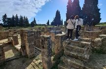 Epic Day Trip Bizerte Cape Angela and UNESCO Ichkeul Birdwatching