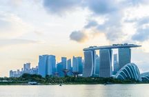 Singapore Half-Day City Sightseeing Guided Tour with Hotel Pickup