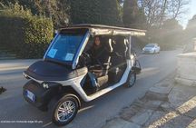 GolfCart Tour of Florence Hills & Chianti Wine Tasting Experience