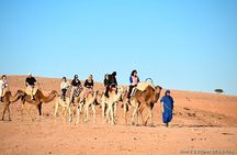 Agafay Desert Adventure with Quad Biking and Camel Ride
