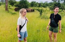 Rhino Safari Walk in Livingstone Zambia