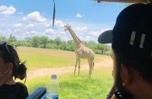 Rhino Safari Walk in Livingstone Zambia