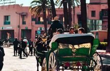 Marrakech: Medina Half-Day - Discover the City's History