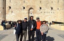 Alexandria Day Tour from Alexandria Port or Hotels