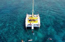 2 Hour Swim, Snorkel & Sail (Kewalo Harbor)