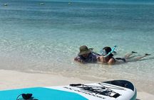 Day Trip To Coronado Island