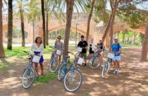 Valencia by Bike Old Town Turia Park and City of Arts Highlights
