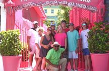 Puerto Plata Horseback Riding and Monkey Adventure Tour