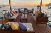 Private 32' Catamaran: Cabo Arch, Sea Lions & Beach for 12 Guest