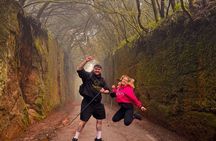 Anaga Mountains and Enchanted Forest, Tenerife Hiking Tour