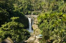 Ubud Highlights Private Tour - Temple, Rice Terrace and Waterfall
