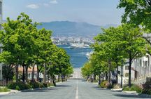Hakodate/Hokkaido Private Tour with Local Guide