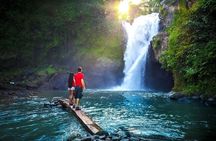Ubud Tour : Waterfall - Monkey forest - Rice terrace _ Temple