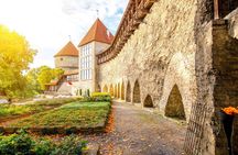 Deluxe Cruise Friendly Tallinn Tour from Port including Free Time