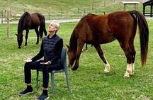 Meditation with Horses in Asheville