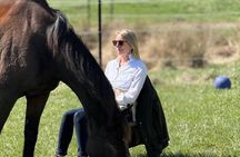 Meditation with Horses in Asheville
