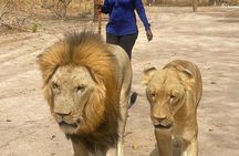 Fathala Wild Life Reserve Safari