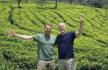 8-Day Sri Lanka Solo Tour with Hotels, Train Ride & Safari