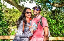 Punta Cana Buggy Adventure with Local Dominican Food