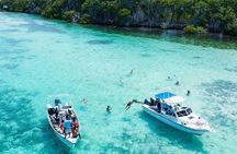 SAONA island full-day tour from Punta Cana / all inclusive