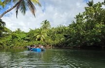 Northern Treasures of Dominica: River | Falls & Beach Tour