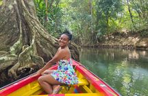 Northern Treasures of Dominica: River | Falls & Beach Tour