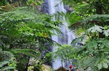 Northern Treasures of Dominica: River | Falls & Beach Tour