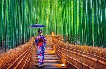 Kyoto & Nara customizeable Luxury Private Day Tour Driver Guide