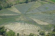 Explore West Flores: Spiderweb Field and Hobbit Cave