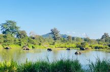 Wild Jeep Safari at Hurulu Eco Park