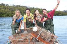 Bush Tucker and Crab Encounters Cruise