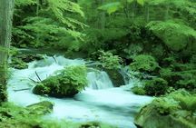 Aomori: Private Custom Tour with Local Guide