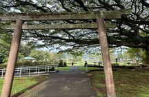 Hilo Tour Waterfalls Lava Cave and black sand beach