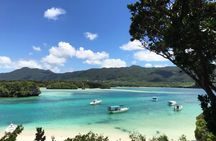 Full day Private Ishigaki Shore Excursion with English Guide