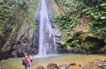 Northern Treasures of Dominica: River | Falls & Beach Tour