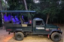 Yala Safari Full Day Safari Tour