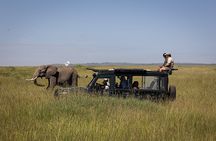 Stavo East 2days 1 night Voi Wildlife Lodge