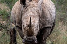 Stavo East 2days 1 night Voi Wildlife Lodge
