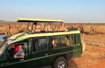Stavo East 2days 1 night Voi Wildlife Lodge