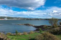 The Five Pearls of the Oslofjord Full Day Tour