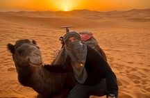 3 Day Marrakech Desert Adventure Dunes Kasbahs and Camel Trekking